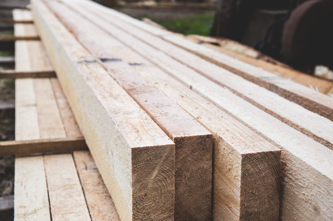 Read more about the article Beech Wood